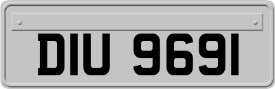 DIU9691