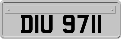 DIU9711