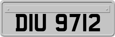 DIU9712