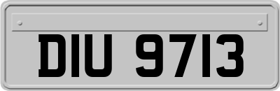 DIU9713