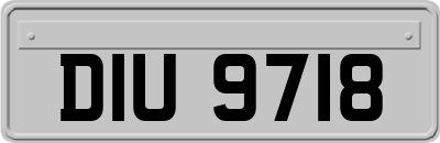 DIU9718