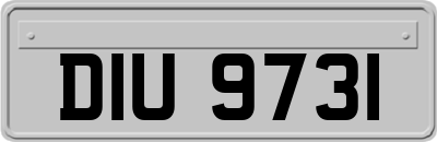 DIU9731
