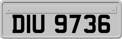 DIU9736