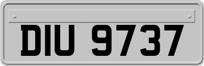 DIU9737