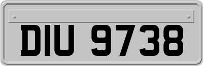 DIU9738