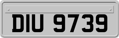DIU9739