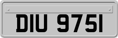 DIU9751