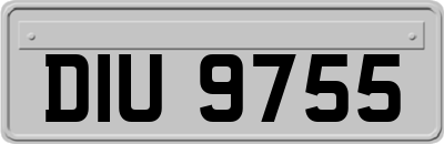 DIU9755