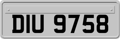 DIU9758