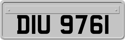 DIU9761