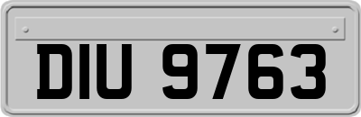 DIU9763