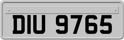 DIU9765
