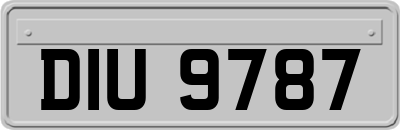 DIU9787