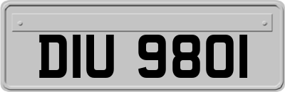 DIU9801