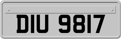 DIU9817