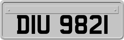 DIU9821