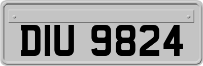DIU9824