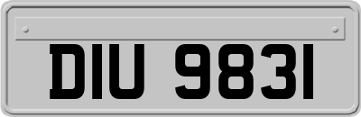 DIU9831