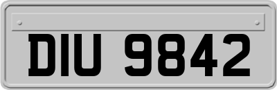 DIU9842