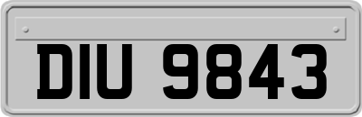DIU9843