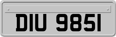 DIU9851