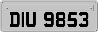 DIU9853