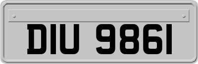 DIU9861