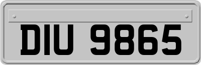 DIU9865