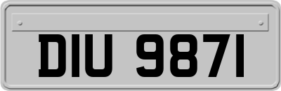 DIU9871