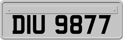 DIU9877