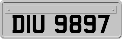 DIU9897