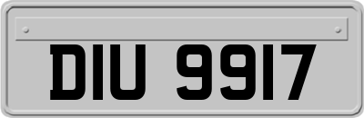 DIU9917
