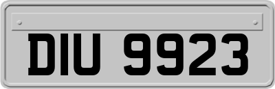 DIU9923