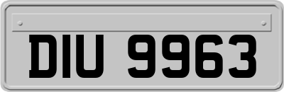 DIU9963
