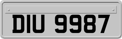 DIU9987
