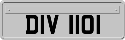 DIV1101