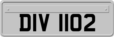 DIV1102