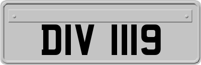 DIV1119
