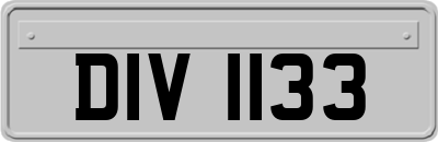 DIV1133