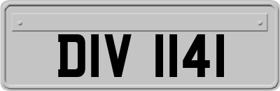 DIV1141
