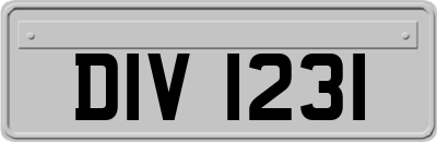 DIV1231
