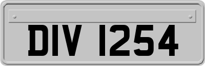 DIV1254