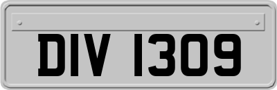 DIV1309