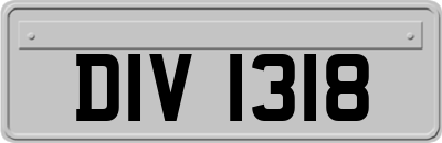 DIV1318