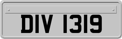 DIV1319