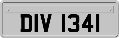 DIV1341