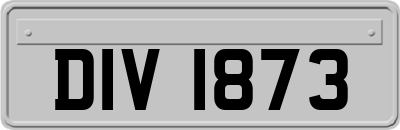 DIV1873