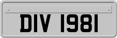 DIV1981