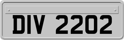 DIV2202