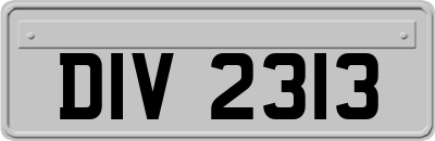 DIV2313